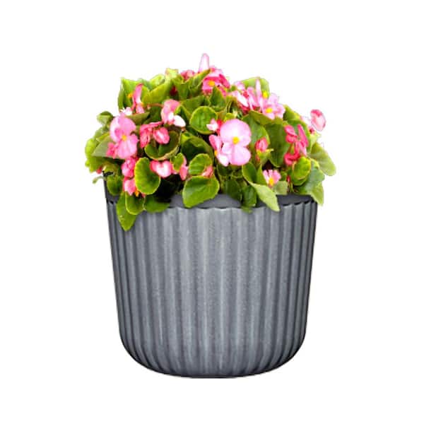 8.2 in. Arlington Fluted Shadow Slate Resin Planter Fits 8 in. Drop-N-Decorate
