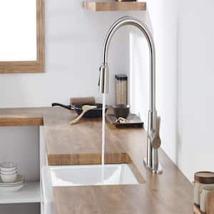 Kitchen Sink Faucet with Pull Out Sprayer Deckplate Included in Brushed Nickle