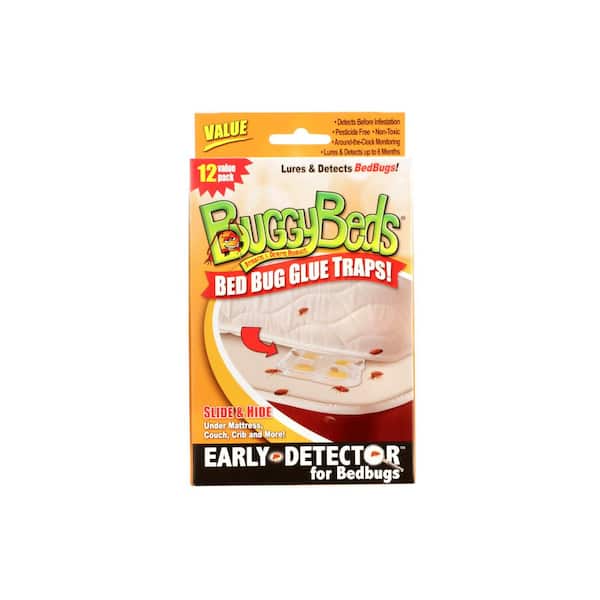 BuggyBeds Value Bedbug Glue Trap Detects and Lures Bedbugs (12-Pack)