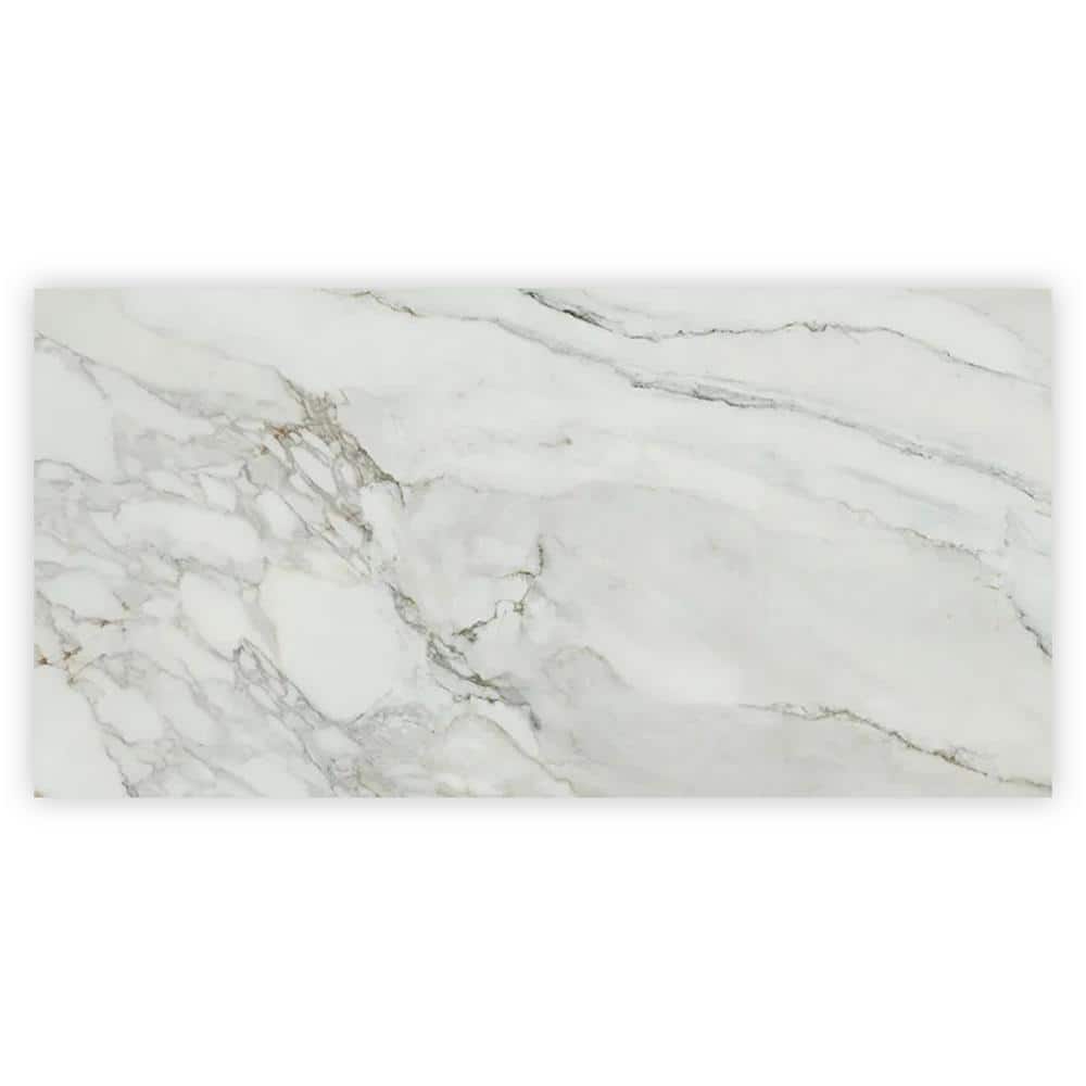 Splendor 24 in. x 48 in. Polished White with Gray Vein Porcelain Wall and Floor Tile (15.42 sq. ft./case)-2 Pack price history on PriceWatchPro