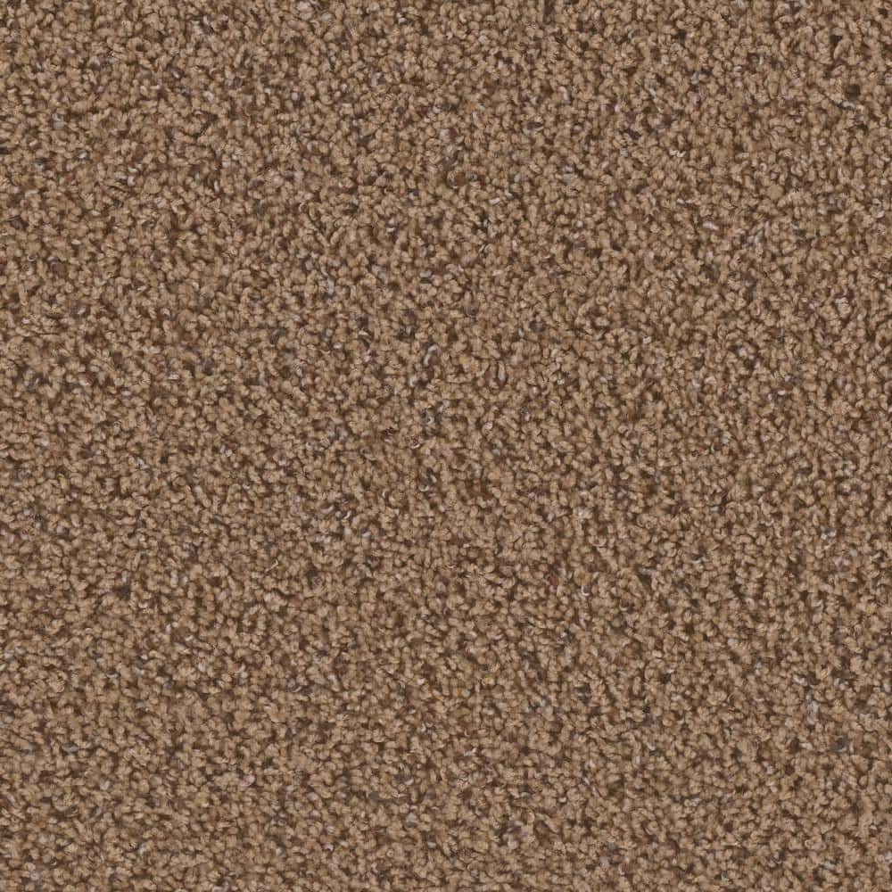 8 in. x  8 in. Texture Carpet Sample - Dream Wish -Color Ambition price history on PriceWatchPro