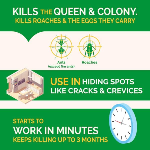 2.5 oz. Ultra Clear Roach and Ant Gel Bait (4-Pack)