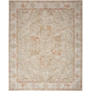 Asher Sage Ivory 8 ft. x 10 ft. All-over design Traditional Area Rug