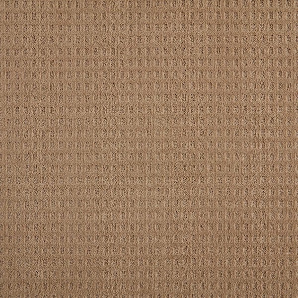 Lifeproof with Petproof Technology Canter  - Coachman - Beige 38 oz. Triexta Pattern Installed Carpet