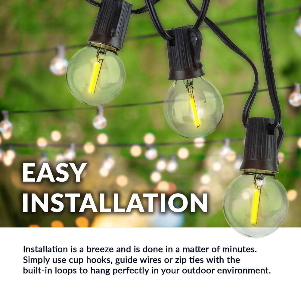50 ft Black LED Globe String Lights with Warm White Bulbs