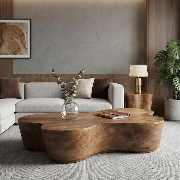 Ilknur 65 in. W Brown Specialty Butterfly Shape Solid Wood Coffee Table