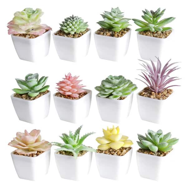 Unbranded 12 Set Green Indoor Outdoor Artificial Succulent Plant Realistic  Faux Decorative Potted Arrangement for Home Office 59D0303AB80