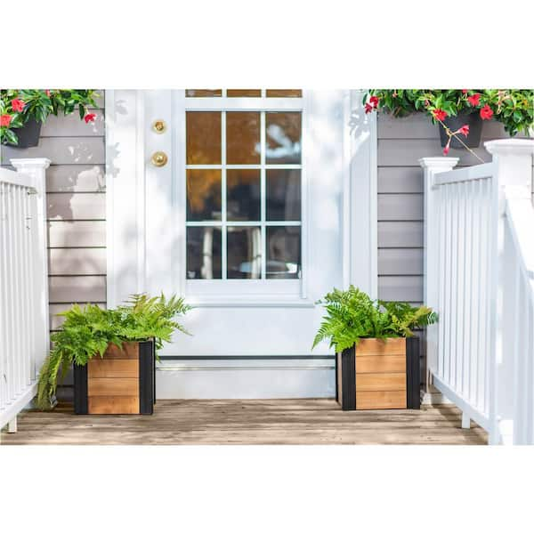 Mezza 12 in L x 12 in W x 11 in H Outdoor Cedar Wood Planter (2-Pack)