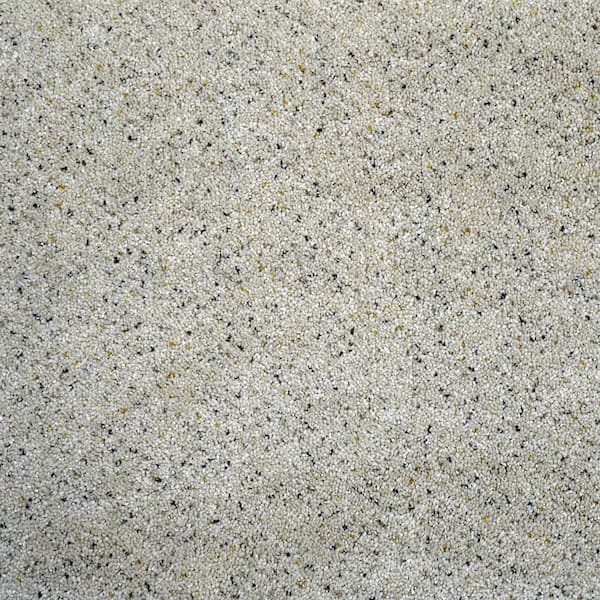 TrafficMaster Stallion II - Color Derby Texture 12 ft. Carpet(1080 sq. ft. / Roll)