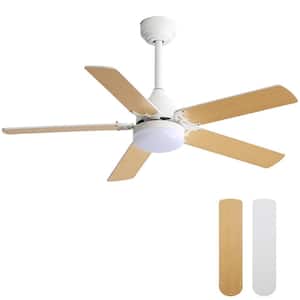 42 in. Indoor/Outdoor Modern White Downrod Mount and Flush Mount Ceiling Fan with Led Lights and 6 Speed DC Remote
