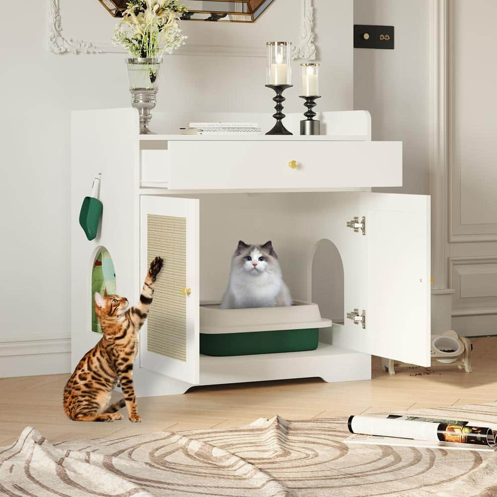 Litter box service near me best sale