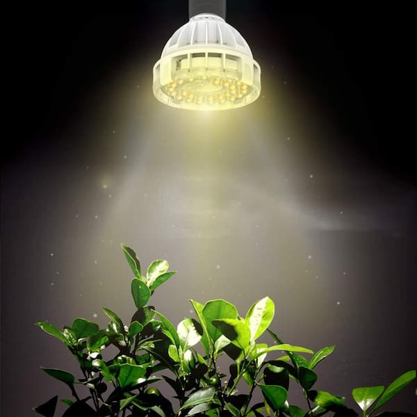 Buy 10 Watt Sansi LED Grow Light (new and improved design) – GrowingGreen NZ