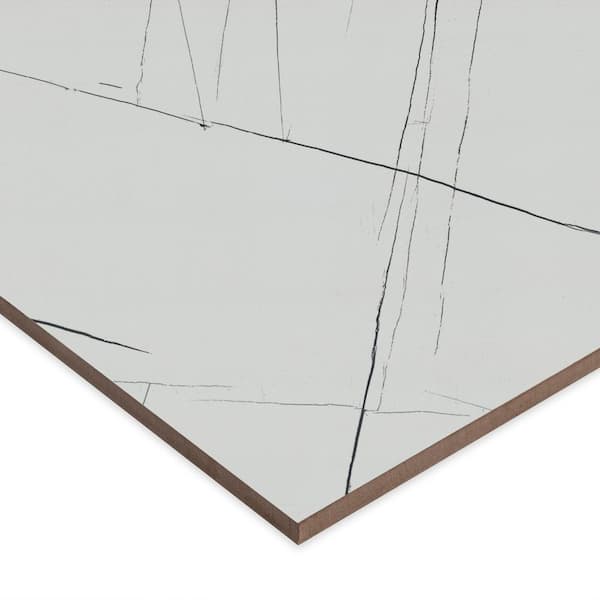MSI Daxton White 24 in. W x 48 in. Polished Porcelain Marble Look