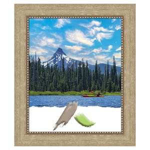 Astor Champagne Picture Frame Opening Size 18 x 22 in.