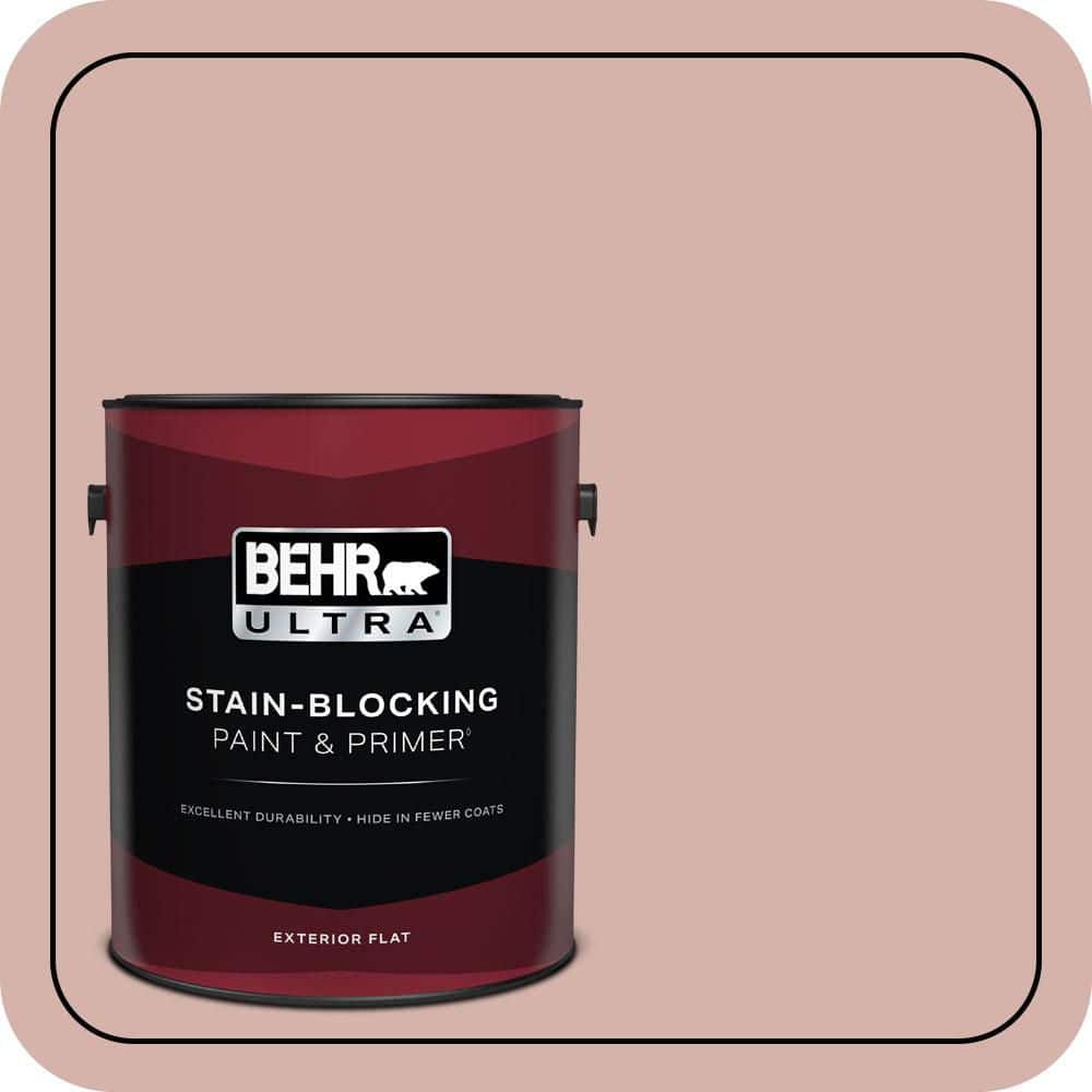 1 gal. #S170-3 Castilian Pink Flat Exterior Paint & Primer price history on PriceWatchPro