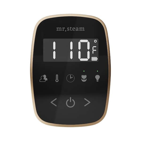 ButlerFlex Max Steam Shower Control Package with TempoFlex Control and Linear Steamhead in Black Nouveau Bronze