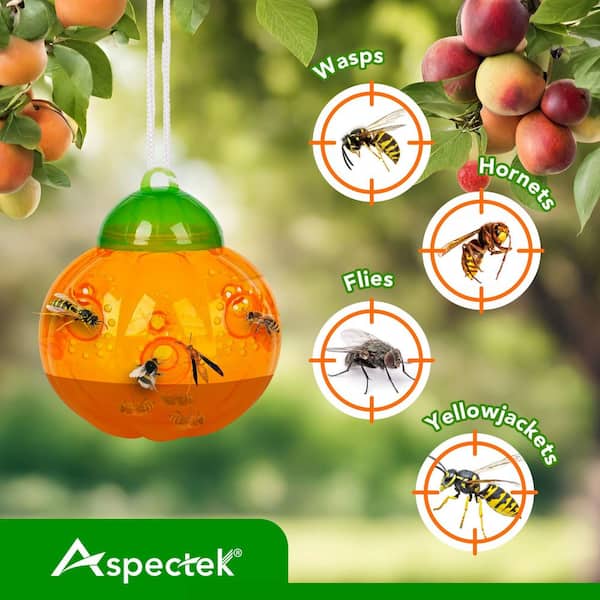 Aspectek Pumpkin-shaped Wasp Trap Catcher (2-Pack) HR1977 - The