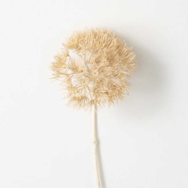 SULLIVANS 29 in. Artificial Dried Natural Cream Allium