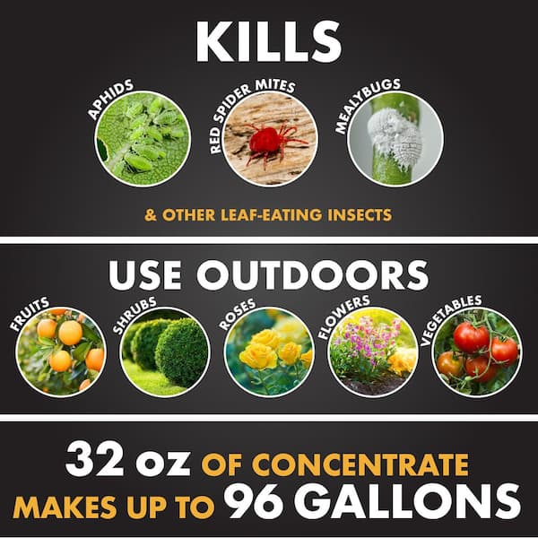 32 oz. Malathion Insect Spray Concentrate for Gardens