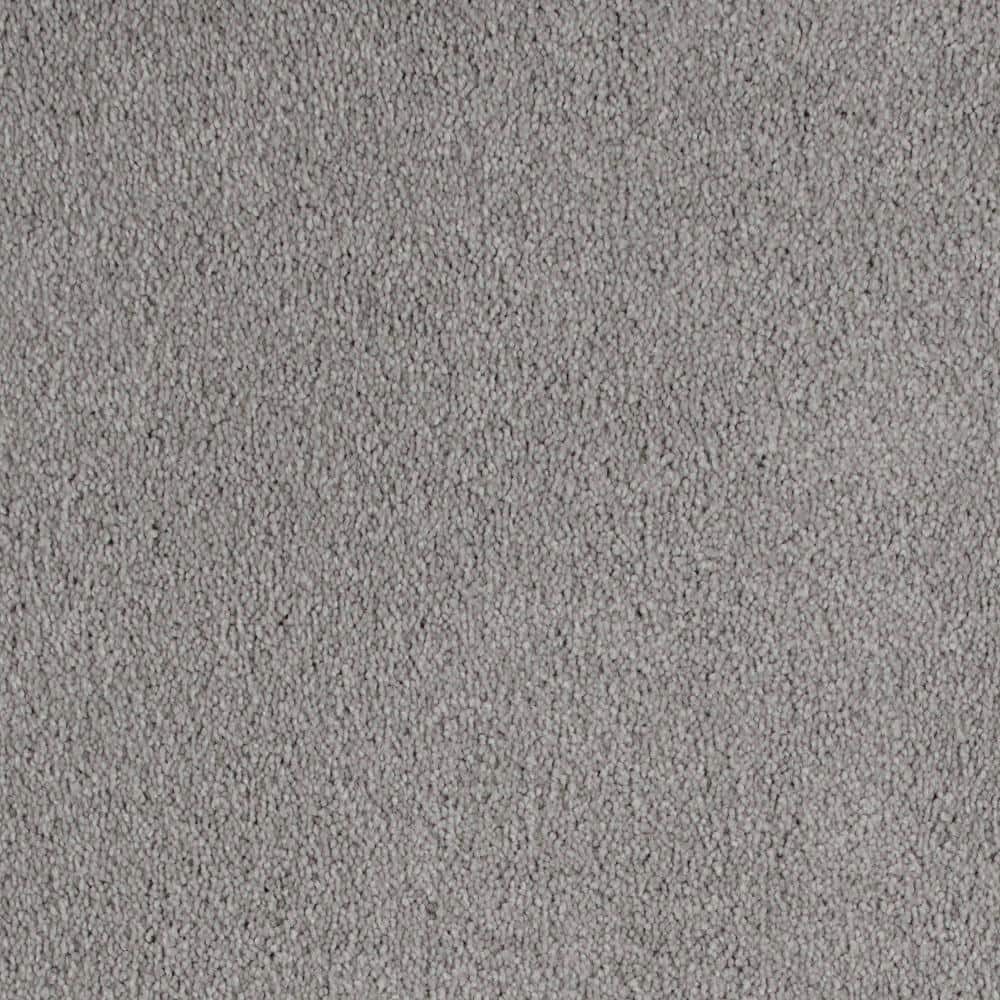 8 in. x 8 in. Texture Carpet Sample - Still In Love II -Color Merry price history on PriceWatchPro