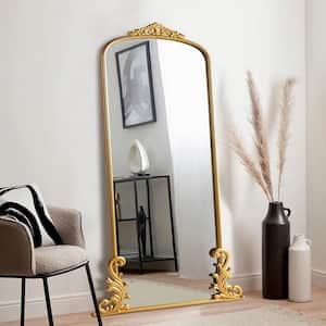 29 in. W x 68 in. H Retro Arched Metal Framed Full-Length Leaning Mirror