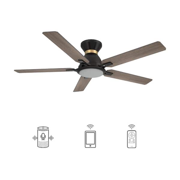 CARRO Essex 52 in. Dimmable LED Indoor/Outdoor Black Smart Ceiling Fan with Light and Remote, Works with Alexa/Google Home