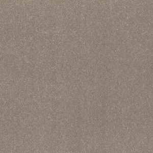 Blakely II - Bartlett - Beige 52 oz High Performance Polyester Texture Installed Carpet