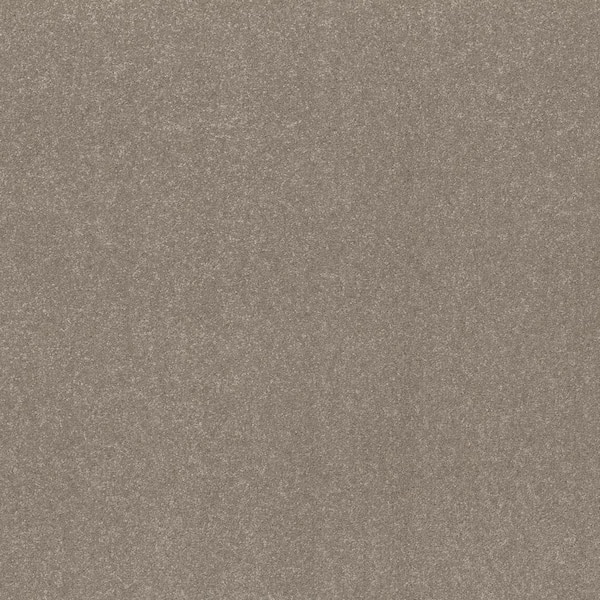 Blakely III - Bartlett-Beige 15 ft. 66 oz. High Performance Polyester Texture Installed Carpet