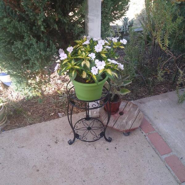 19.4 in. H Indoor/Outdoor Plant Stand Heavy Duty Metal Planter