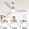 ceiling-fans-with-lights-zt-w882140942-4f.2