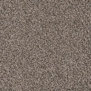 Gilbert Park II - Cape Cod - Beige 66 oz. Polyester Texture Installed Carpet