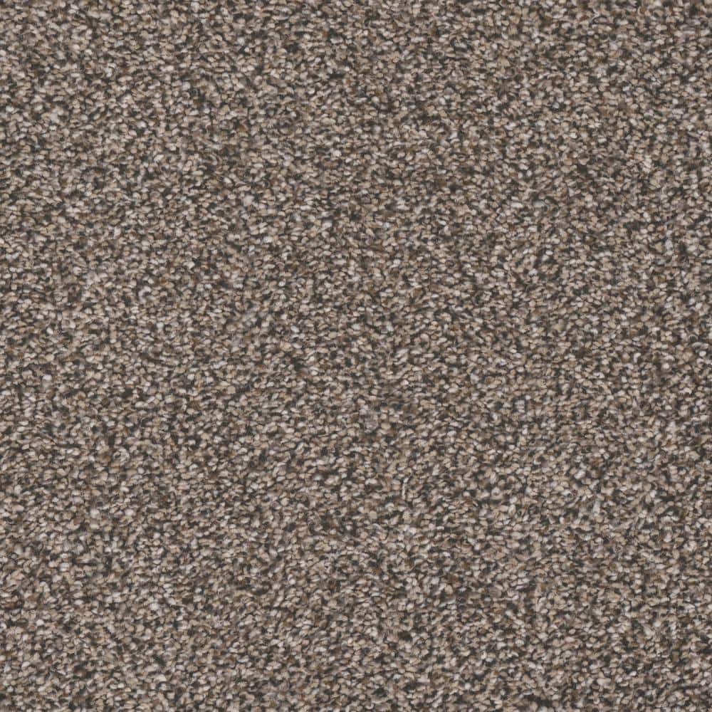 8 in. x 8 in. Carpet Sample - Gilbert Park I -Color CAPE Cod