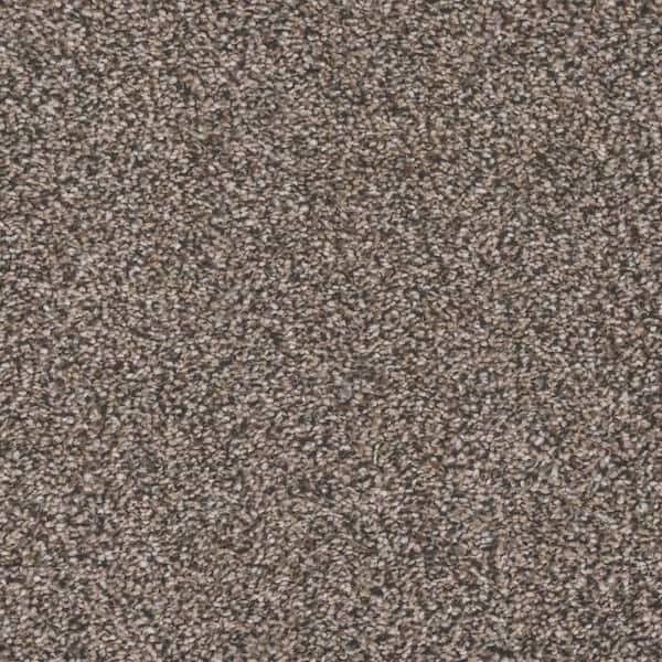 Unbranded 8 in. x 8 in. Carpet Sample - Gilbert Park I -Color CAPE Cod
