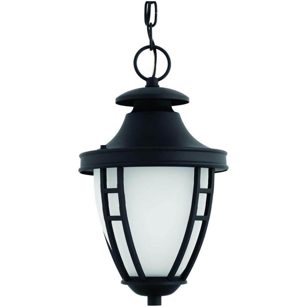Progress Lighting Edition Collection 1-Light Black Outdoor Hanging Lantern 
