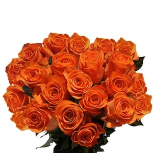 2-Dozen Orange Roses- Fresh Flower Delivery