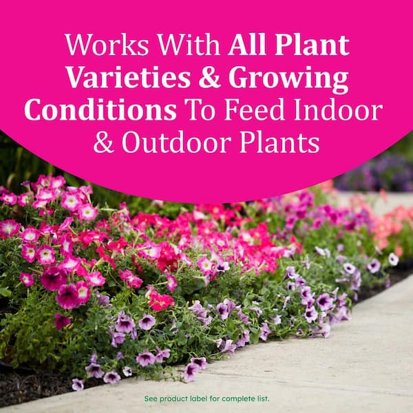 Osmocote Smart-Release Plant Food Plus Outdoor and Indoor, 8 lbs., Granular  Fertilizer with 11-Essential Nutrients 2345104