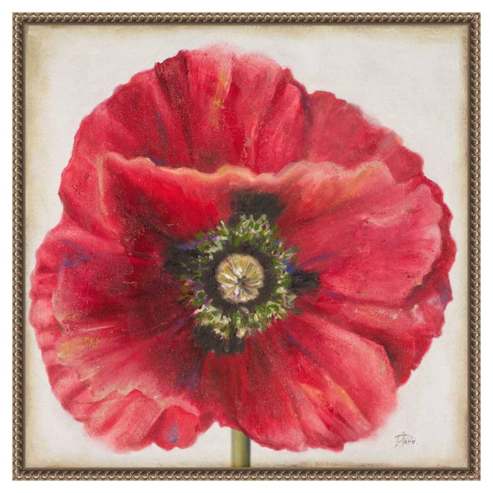 Red Poppy Beaded Perimeter Framed Canvas Wall Art
