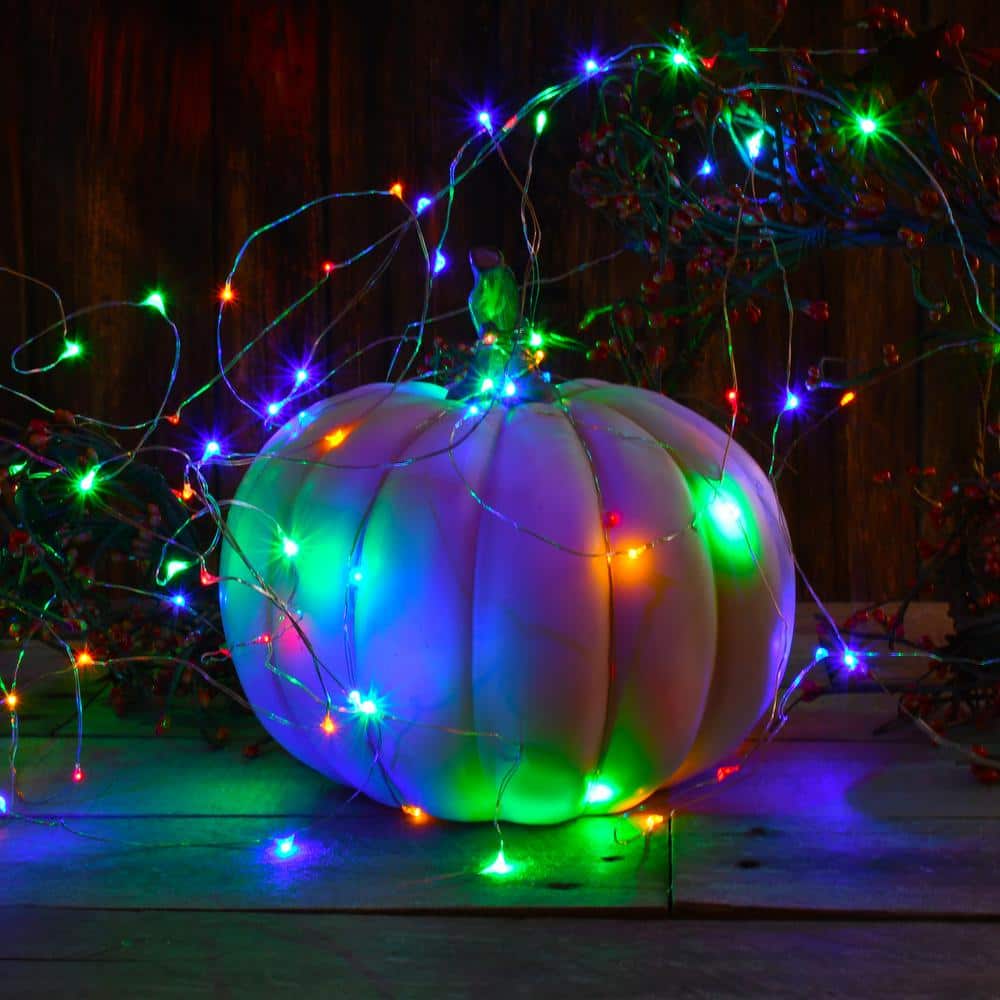 Battery Operated Multicolor LED Outdoor Fairy String Lights, Set of 2