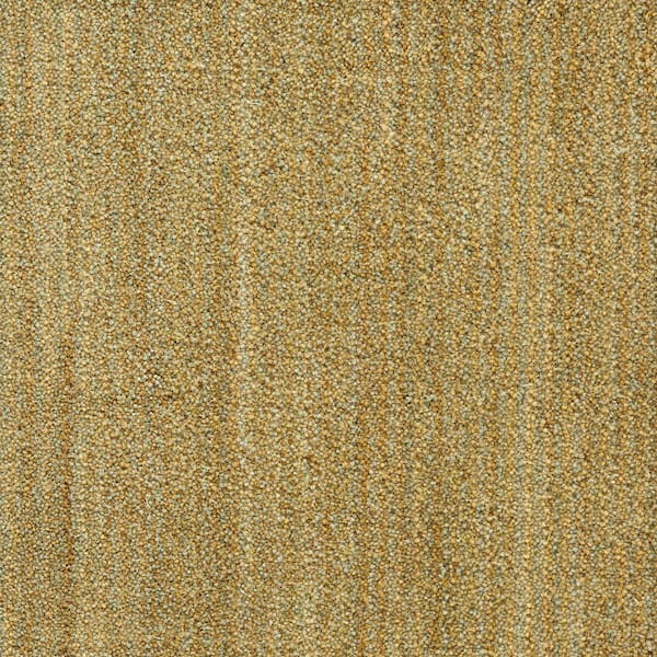 Natural Harmony 6 in. x 6 in. Texture Carpet Sample - Supreme - Color Sage