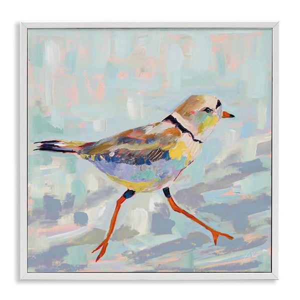 Coastal Plover Abstract Bird by Jeanette Vertentes White Framed Giclee Art Print Animal 17 in. x 17 in.