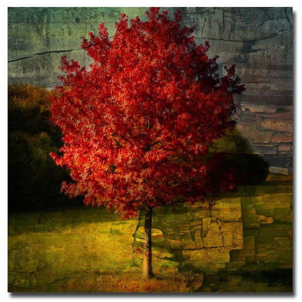 Trademark Fine Art 18 in. x 18 in. Autumn Red Canvas Art