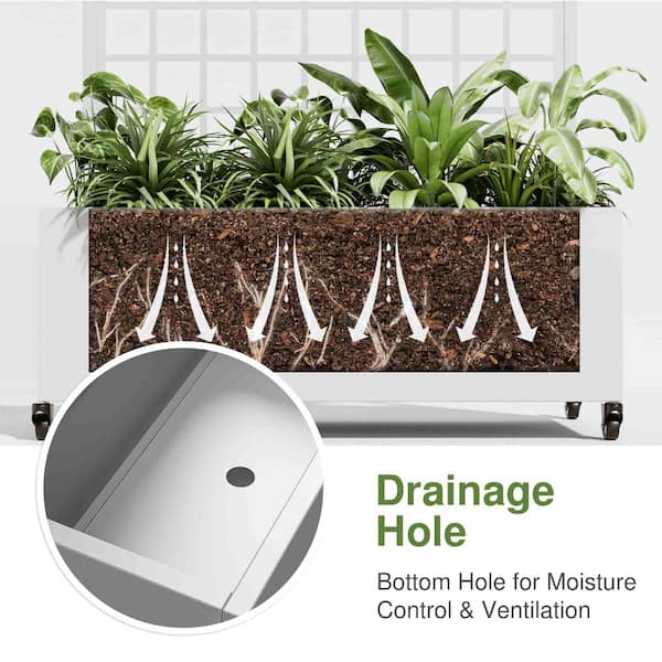 SpassWay 6 ft. H x 3 ft. W Metal Planter Box with Trellis White