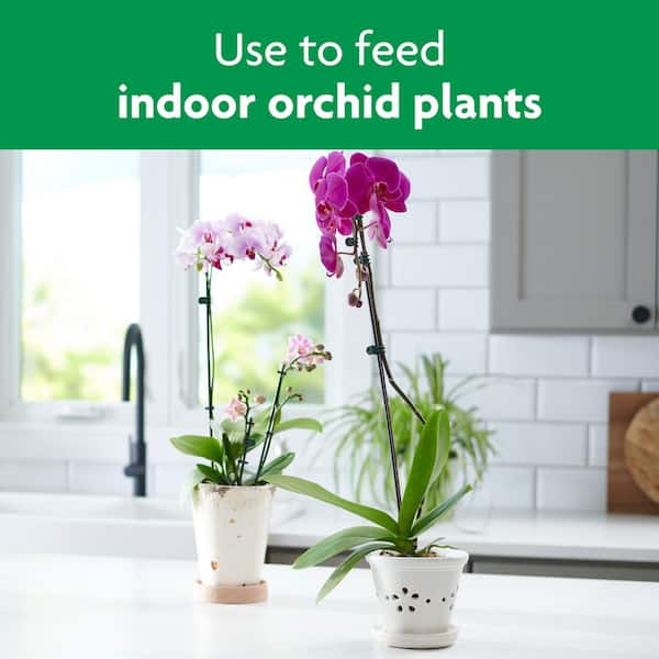Miracle-Gro Ready-To-Use Orchid Plant Food Mist (2-Pack) VB300522