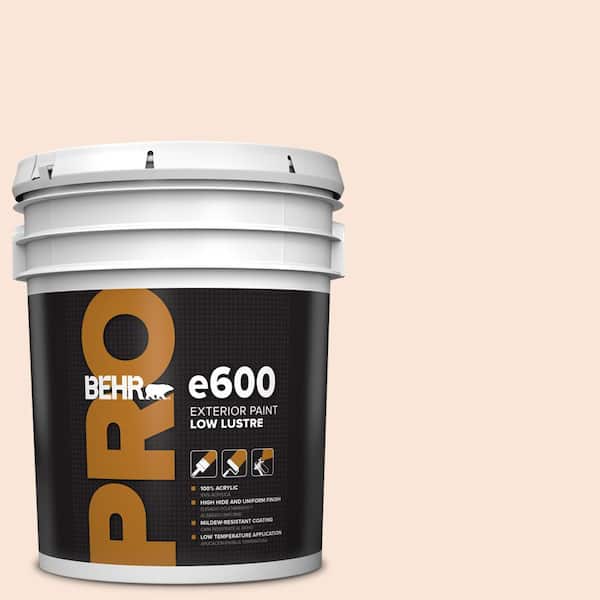 BEHR PRO 5 gal. #RD-W04 Illuminated Low Luster Exterior Paint