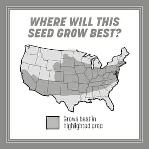 Central Contractors Mix 20 lb. 4,000 sq. ft. Grass Seed