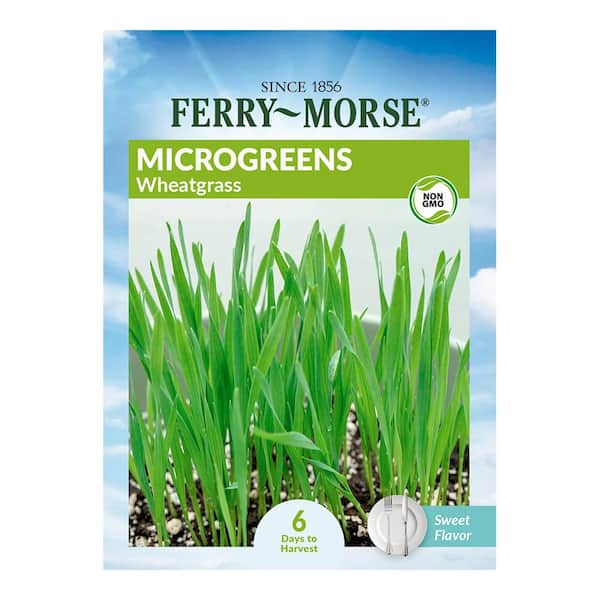 Ferry-Morse Wheatgrass Micro-greens Vegetable Seeds