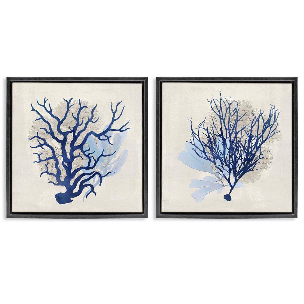 Blue Coral Branches by Susan Arnot 2-Pieces Black Floater Frame Coastal Graphic Art Print 18 in. x 18 in. price history on PriceWatchPro