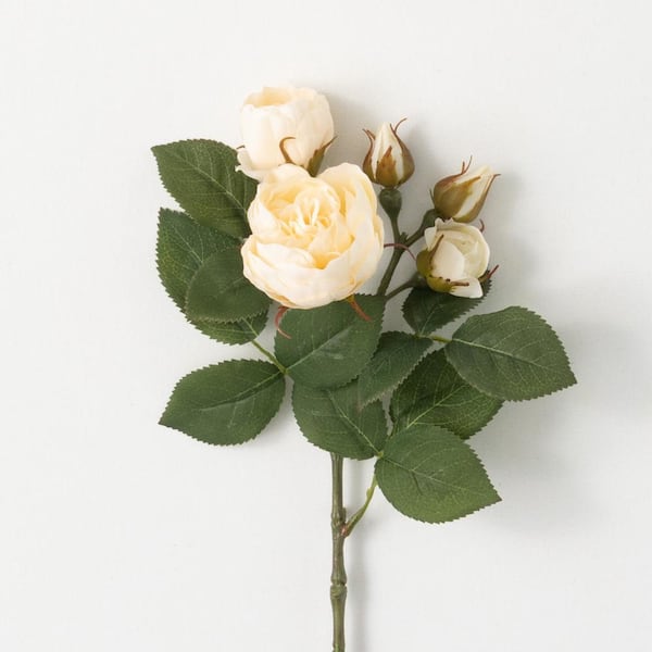 SULLIVANS 15" Artificial Classic Cream Blossoming Roses