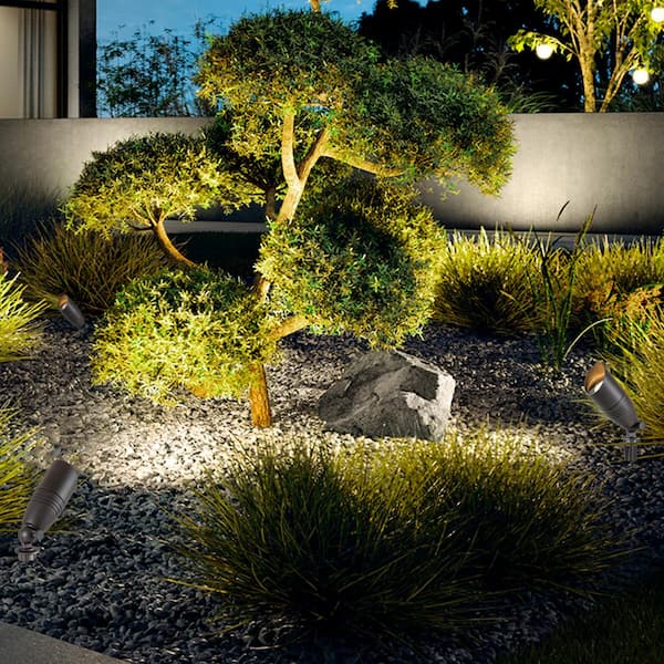 C Cattleya 12-Volt Dark Bronze Low Voltage Waterproof Outdoor
