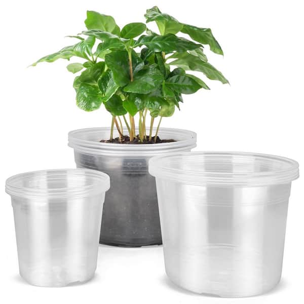 potting soil mix for african violets African Violet Premium Potting Mix – Rooting For You Plant Nursery